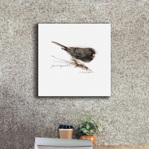 'Songbird Study V' by Bruce Dean, Giclee Canvas Wall Art,18x18