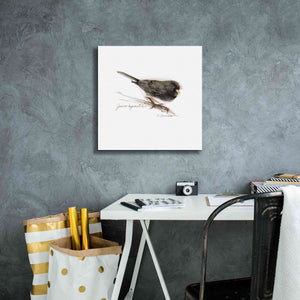 'Songbird Study V' by Bruce Dean, Giclee Canvas Wall Art,18x18