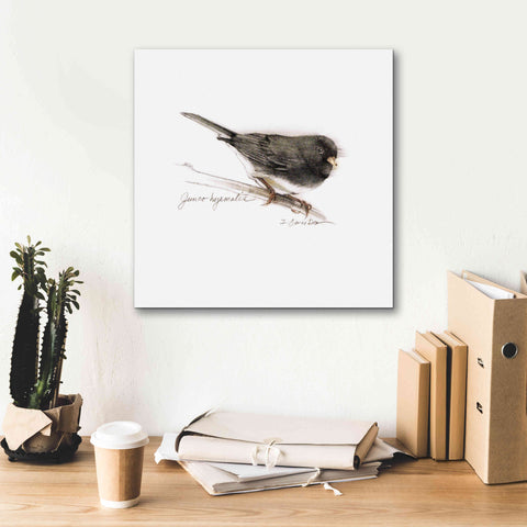 Image of 'Songbird Study V' by Bruce Dean, Giclee Canvas Wall Art,18x18