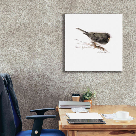 Image of 'Songbird Study V' by Bruce Dean, Giclee Canvas Wall Art,26x26