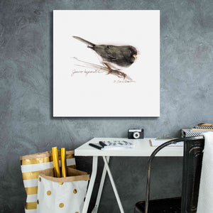 'Songbird Study V' by Bruce Dean, Giclee Canvas Wall Art,26x26