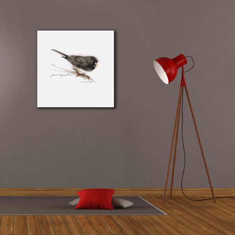 Image of 'Songbird Study V' by Bruce Dean, Giclee Canvas Wall Art,26x26