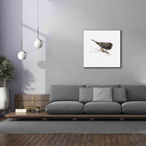 'Songbird Study V' by Bruce Dean, Giclee Canvas Wall Art,37x37