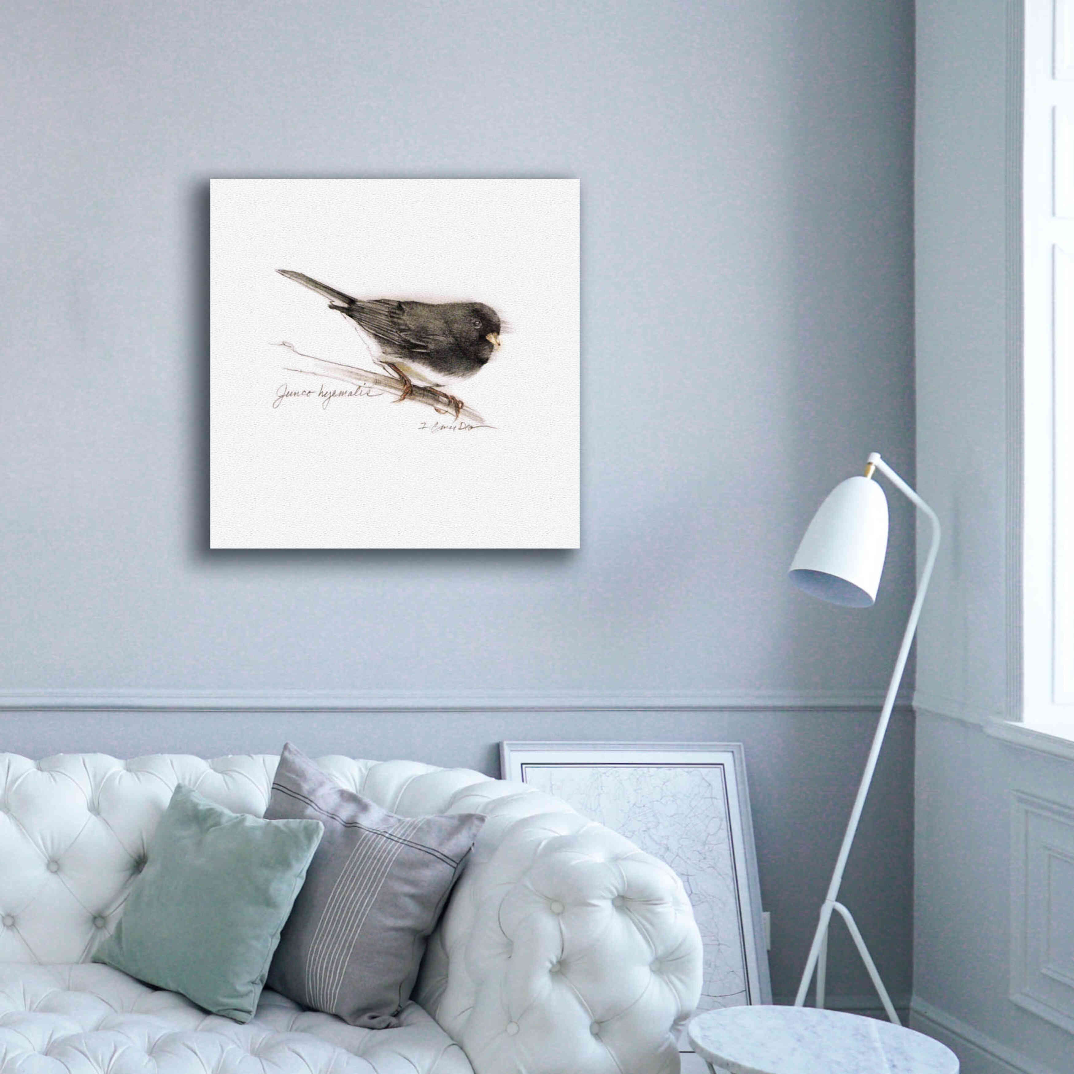 'Songbird Study V' by Bruce Dean, Giclee Canvas Wall Art,37x37
