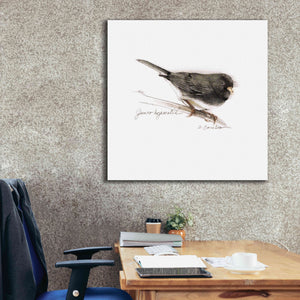 'Songbird Study V' by Bruce Dean, Giclee Canvas Wall Art,37x37