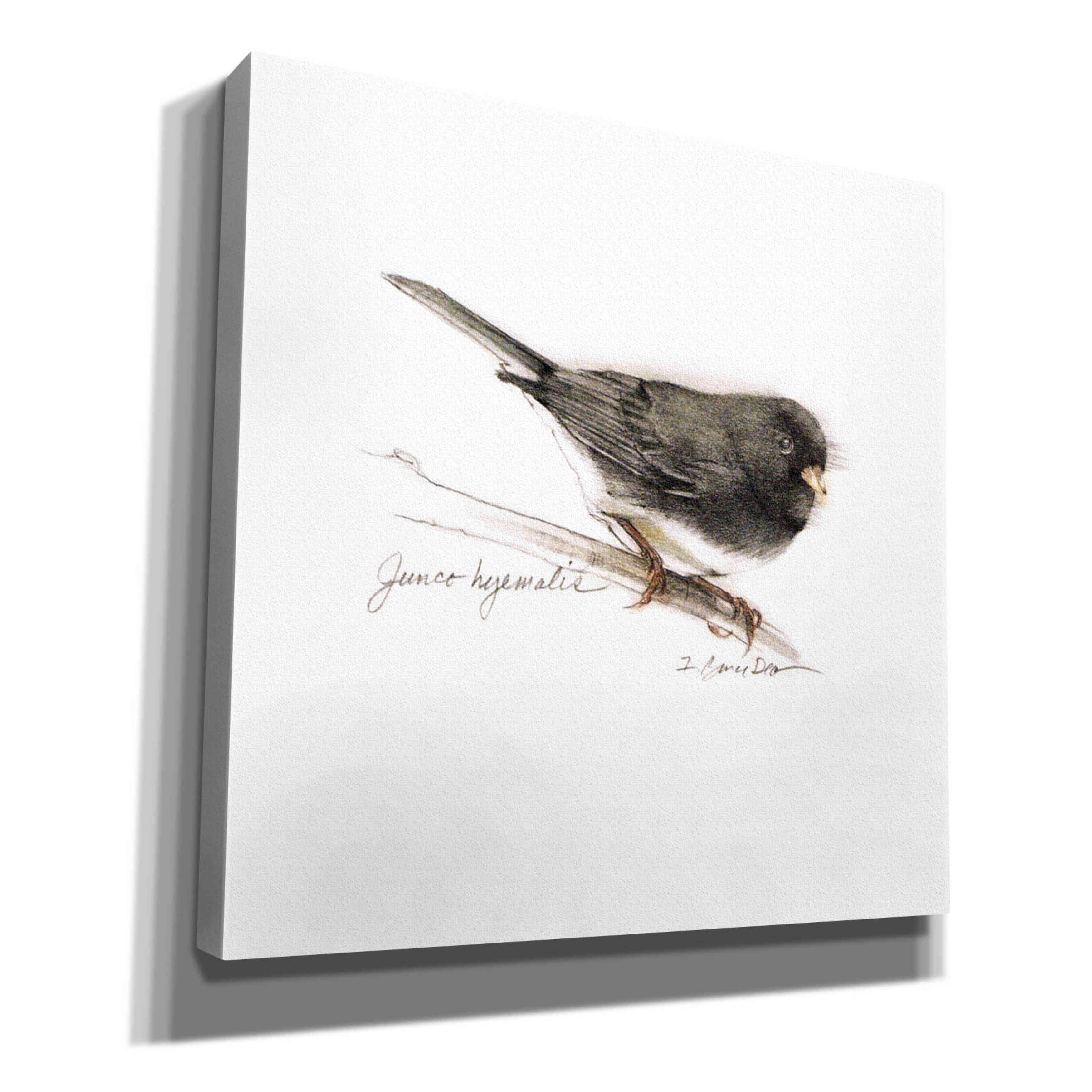 'Songbird Study V' by Bruce Dean, Giclee Canvas Wall Art
