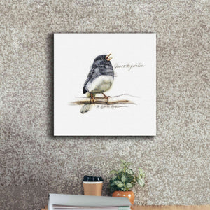 'Songbird Study VI' by Bruce Dean, Giclee Canvas Wall Art,18x18