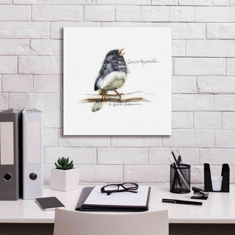 Image of 'Songbird Study VI' by Bruce Dean, Giclee Canvas Wall Art,18x18