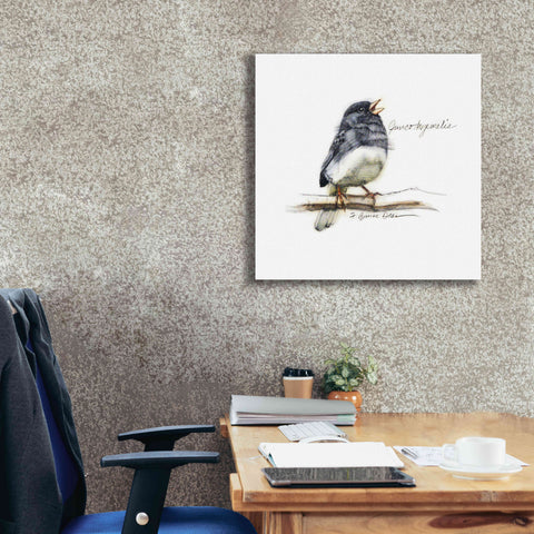 'Songbird Study VI' by Bruce Dean, Giclee Canvas Wall Art,26x26