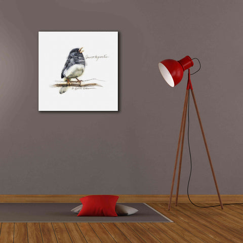 'Songbird Study VI' by Bruce Dean, Giclee Canvas Wall Art,26x26