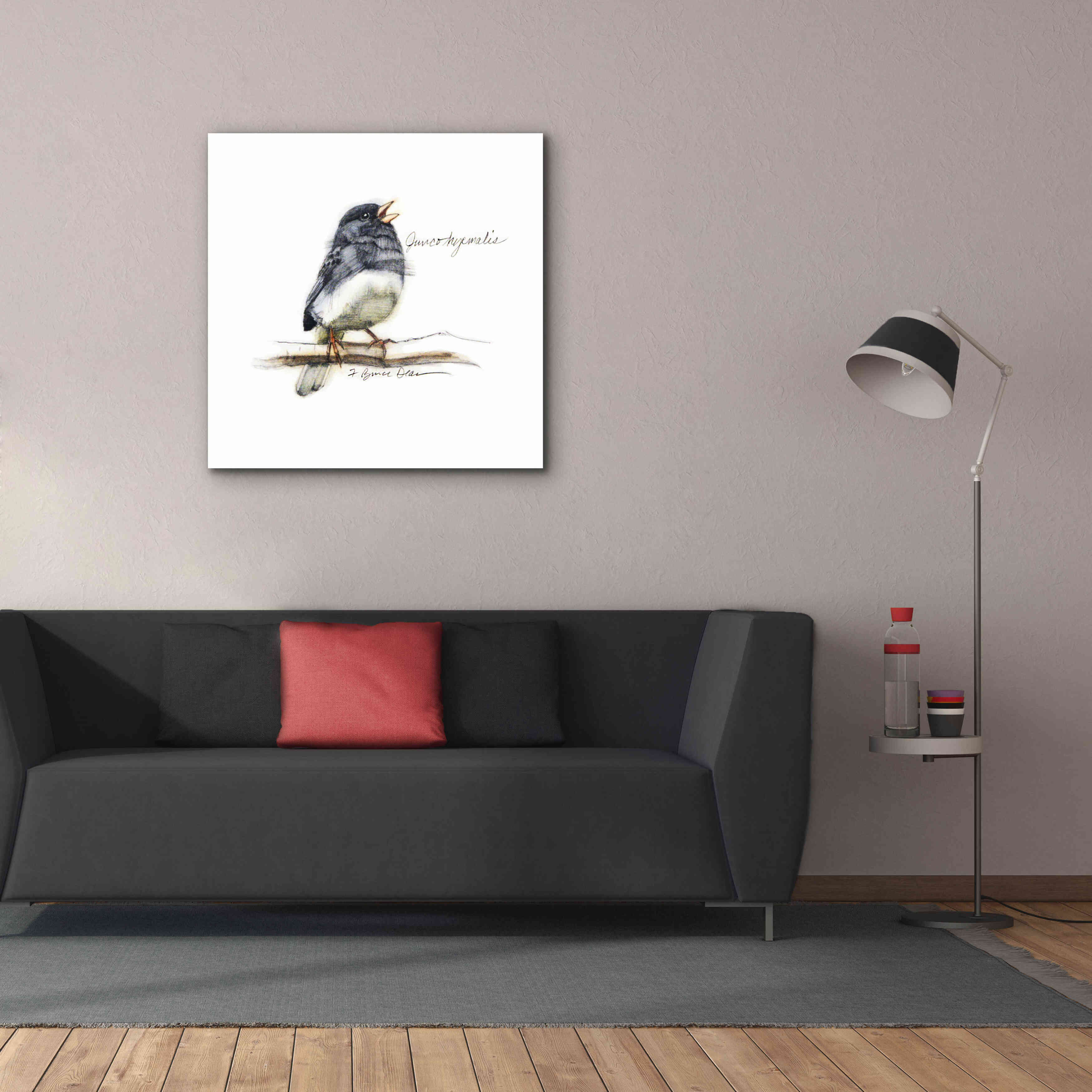 'Songbird Study VI' by Bruce Dean, Giclee Canvas Wall Art,37x37