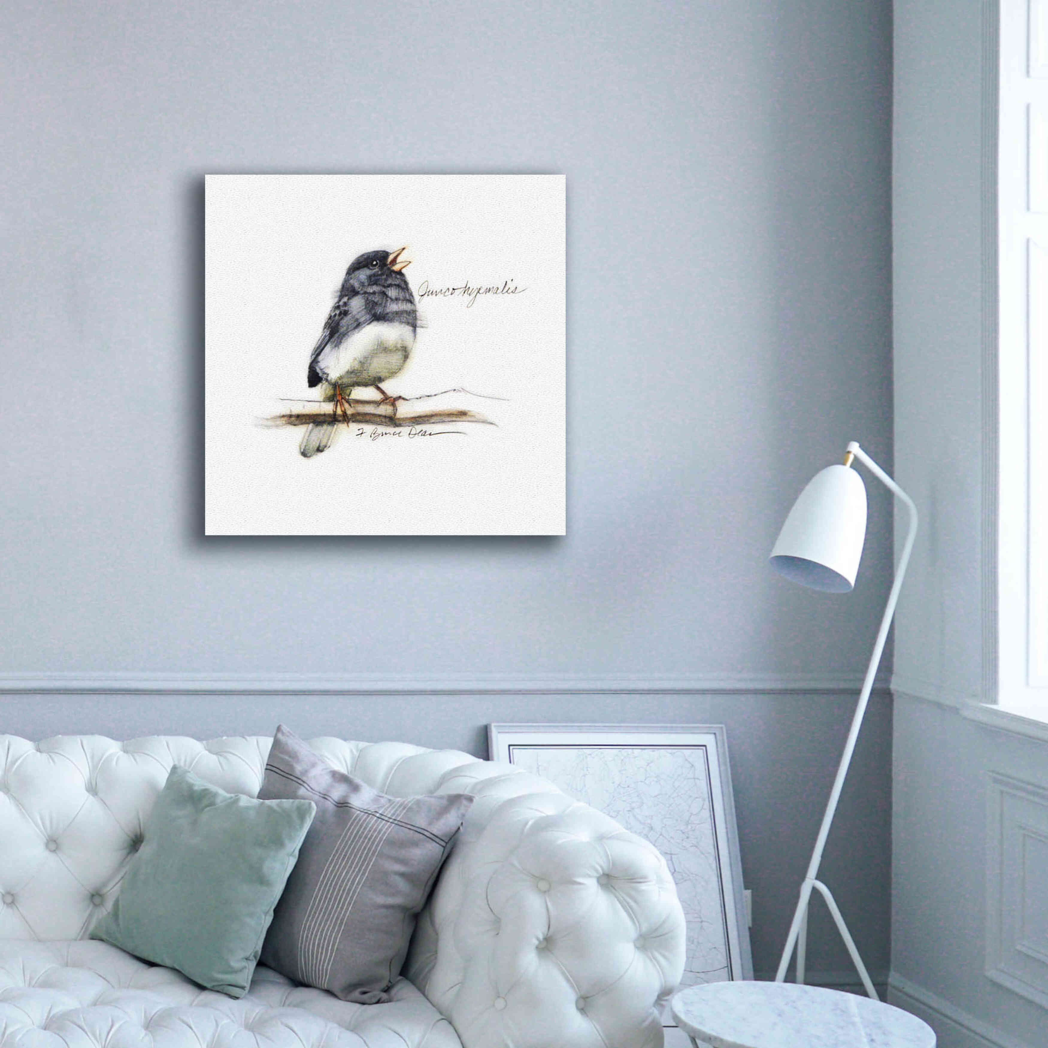 'Songbird Study VI' by Bruce Dean, Giclee Canvas Wall Art,37x37