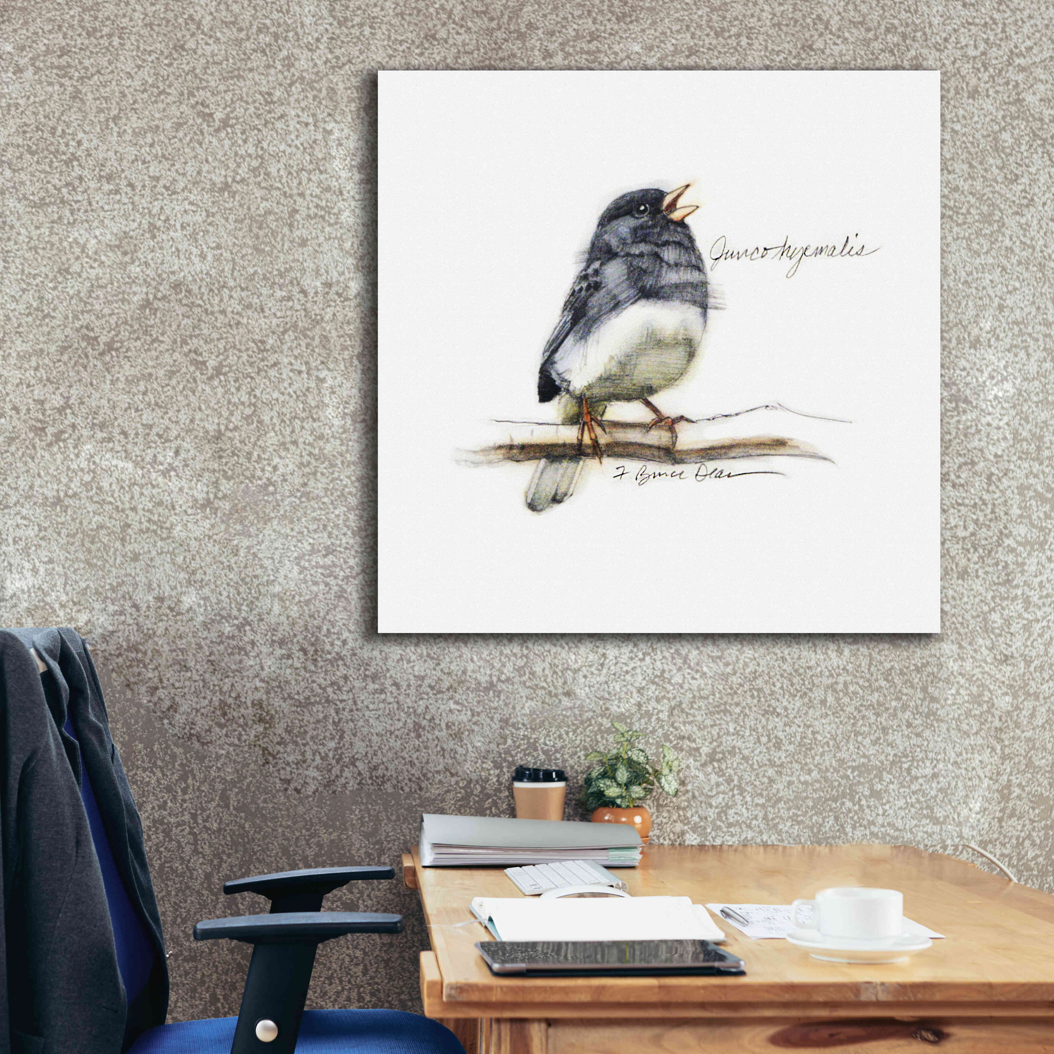 'Songbird Study VI' by Bruce Dean, Giclee Canvas Wall Art,37x37