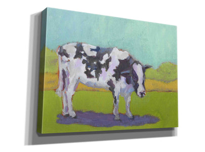 'Pasture Cow I' by Carol Young, Giclee Canvas Wall Art