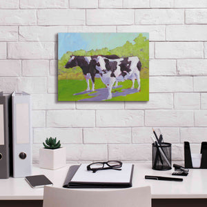 'Pasture Cows II' by Carol Young, Giclee Canvas Wall Art,16x12
