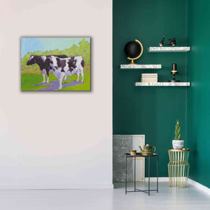 'Pasture Cows II' by Carol Young, Giclee Canvas Wall Art,34x26
