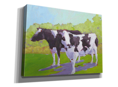 'Pasture Cows II' by Carol Young, Giclee Canvas Wall Art