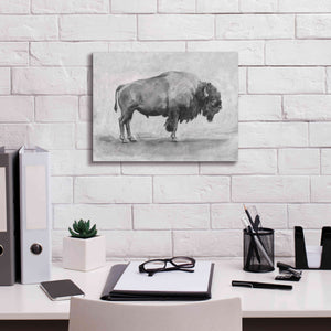 'Wild Bison Study I' by Emma Scarvey, Giclee Canvas Wall Art,16 x 12