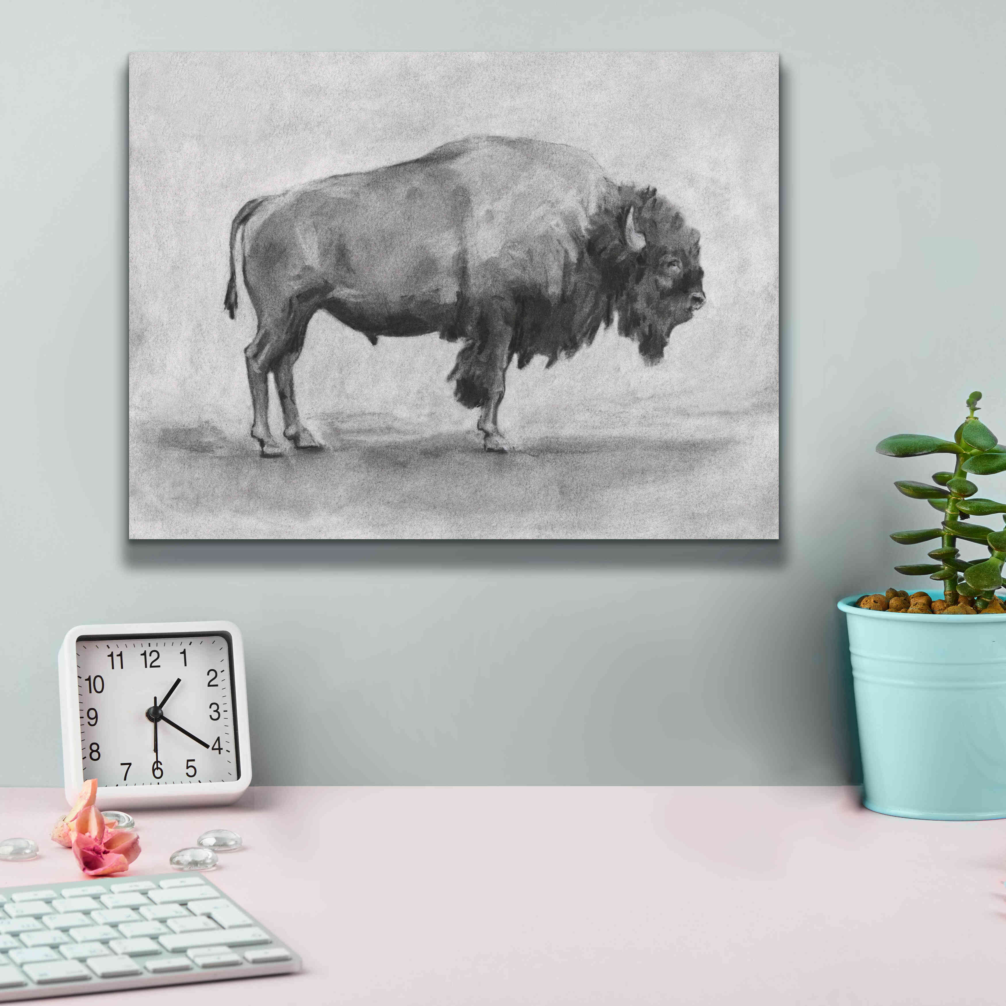'Wild Bison Study I' by Emma Scarvey, Giclee Canvas Wall Art,16 x 12