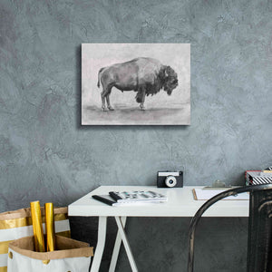 'Wild Bison Study I' by Emma Scarvey, Giclee Canvas Wall Art,16 x 12