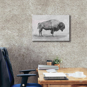 'Wild Bison Study I' by Emma Scarvey, Giclee Canvas Wall Art,26 x 18