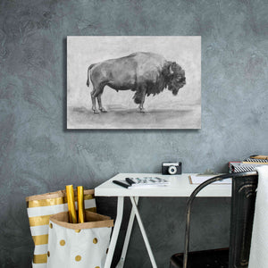 'Wild Bison Study I' by Emma Scarvey, Giclee Canvas Wall Art,26 x 18