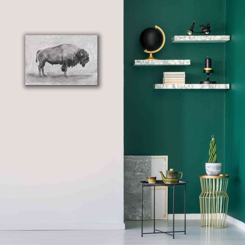 Image of 'Wild Bison Study I' by Emma Scarvey, Giclee Canvas Wall Art,26 x 18