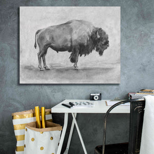 'Wild Bison Study I' by Emma Scarvey, Giclee Canvas Wall Art,34 x 26