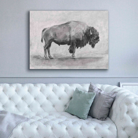 'Wild Bison Study I' by Emma Scarvey, Giclee Canvas Wall Art,54 x 40