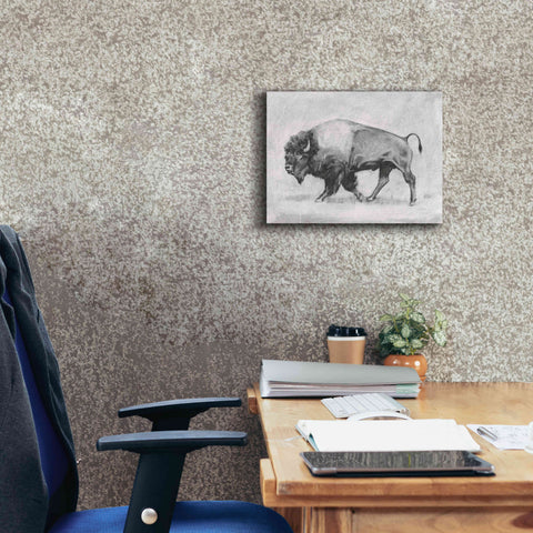 Image of 'Wild Bison Study II' by Emma Scarvey, Giclee Canvas Wall Art,16 x 12