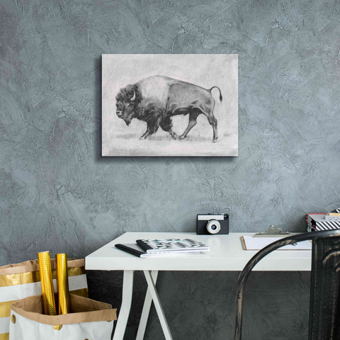 Image of 'Wild Bison Study II' by Emma Scarvey, Giclee Canvas Wall Art,16 x 12