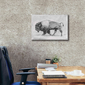 'Wild Bison Study II' by Emma Scarvey, Giclee Canvas Wall Art,26 x 18
