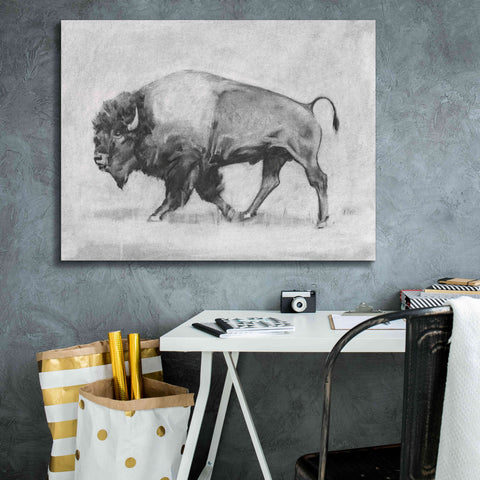 'Wild Bison Study II' by Emma Scarvey, Giclee Canvas Wall Art,34 x 26