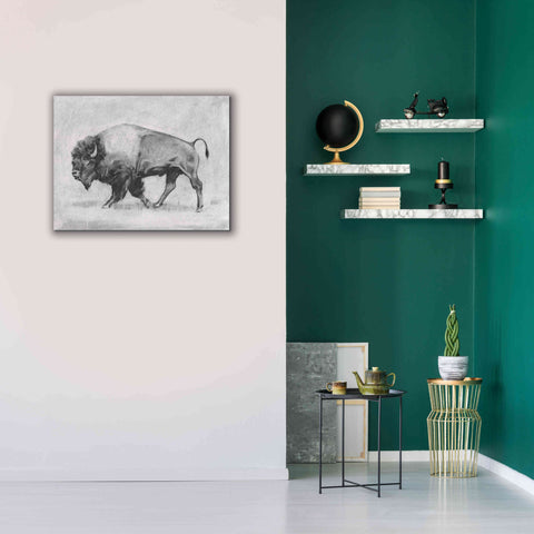 'Wild Bison Study II' by Emma Scarvey, Giclee Canvas Wall Art,34 x 26