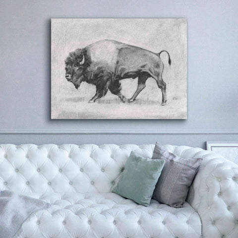 Image of 'Wild Bison Study II' by Emma Scarvey, Giclee Canvas Wall Art,54 x 40