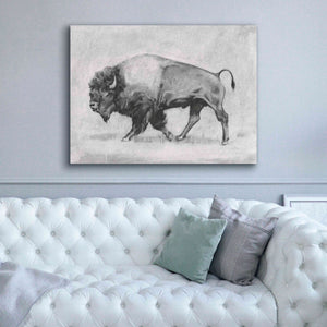 'Wild Bison Study II' by Emma Scarvey, Giclee Canvas Wall Art,54 x 40