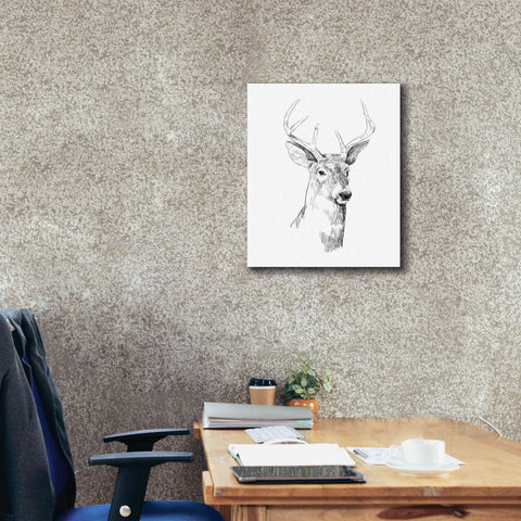 Image of 'Young Buck Sketch I' by Emma Scarvey, Giclee Canvas Wall Art,20 x 24