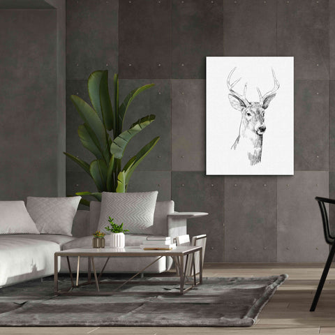 Image of 'Young Buck Sketch I' by Emma Scarvey, Giclee Canvas Wall Art,40 x 54