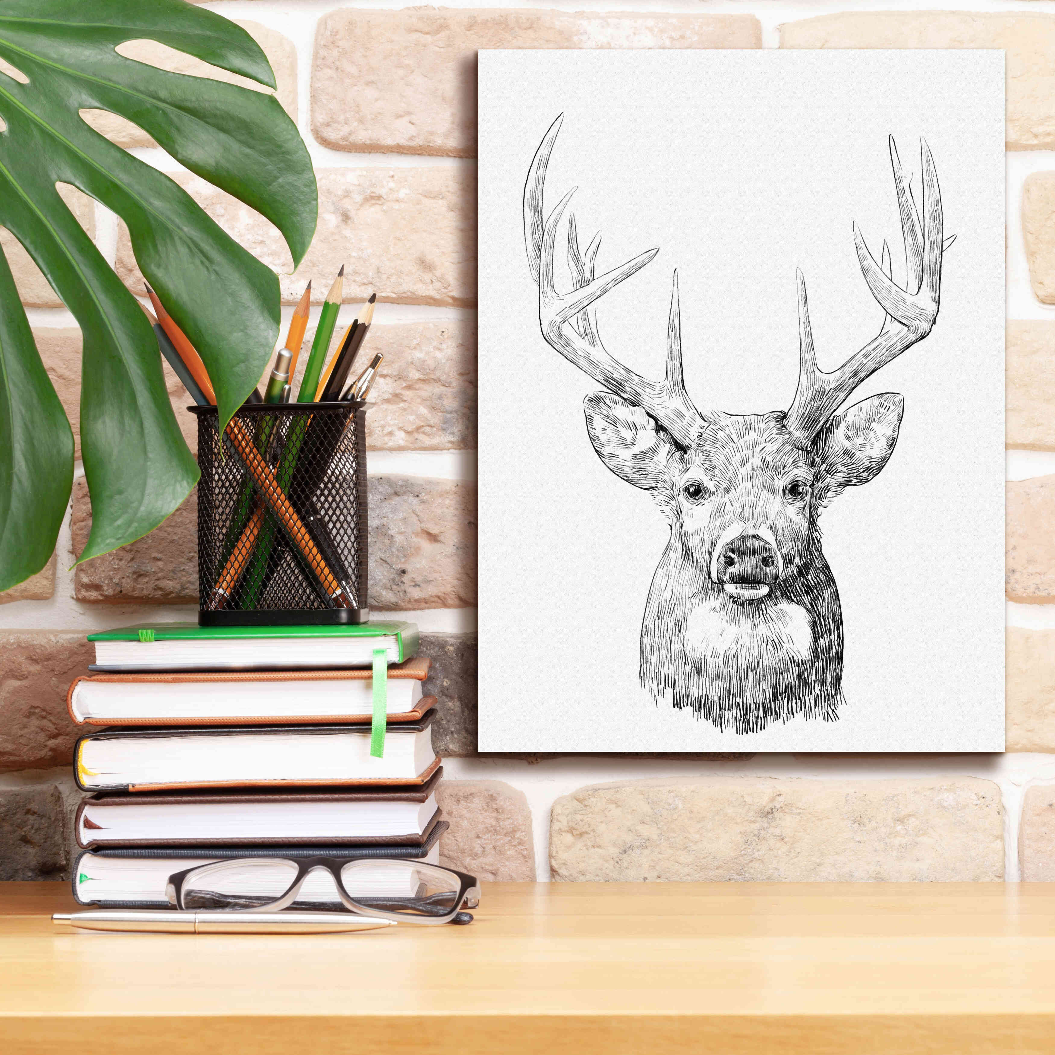 'Young Buck Sketch II' by Emma Scarvey, Giclee Canvas Wall Art,12 x 16
