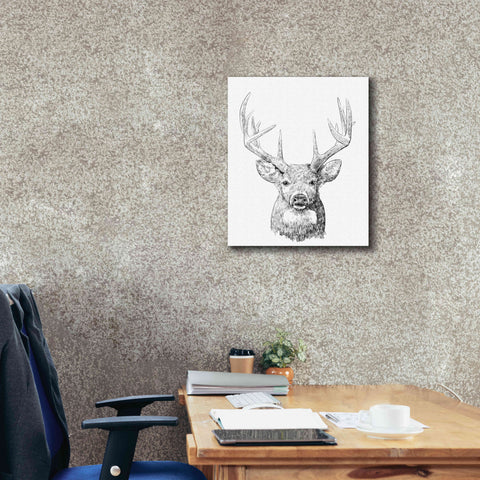 Image of 'Young Buck Sketch II' by Emma Scarvey, Giclee Canvas Wall Art,20 x 24
