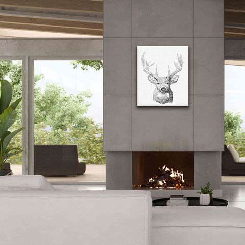 Image of 'Young Buck Sketch II' by Emma Scarvey, Giclee Canvas Wall Art,26 x 30
