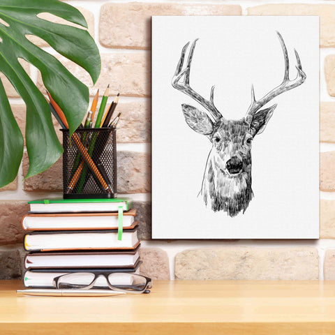 Image of 'Young Buck Sketch III' by Emma Scarvey, Giclee Canvas Wall Art,12 x 16
