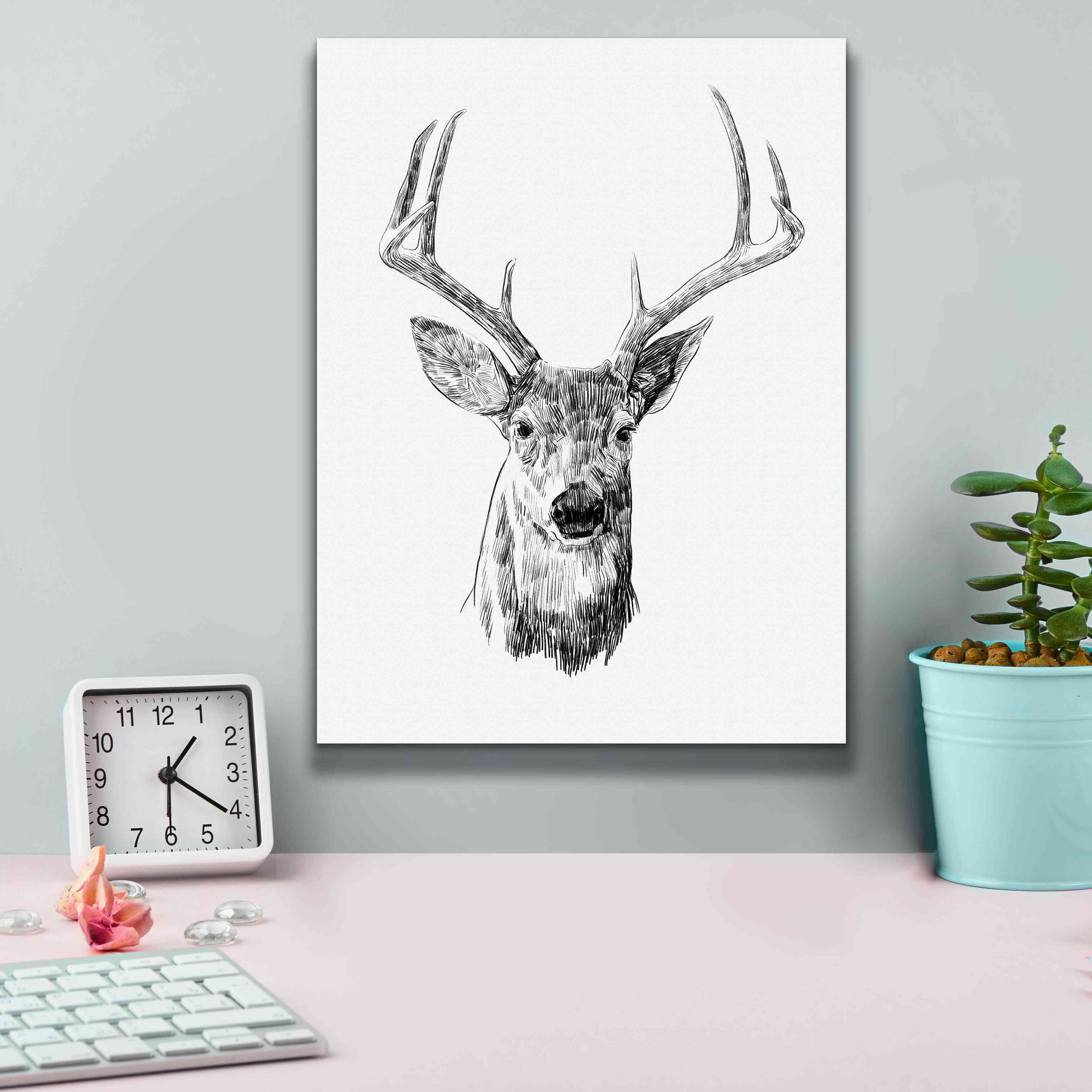 'Young Buck Sketch III' by Emma Scarvey, Giclee Canvas Wall Art,12 x 16