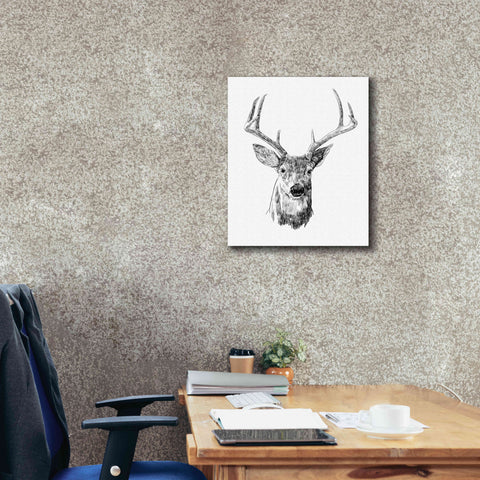 Image of 'Young Buck Sketch III' by Emma Scarvey, Giclee Canvas Wall Art,20 x 24
