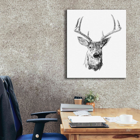 Image of 'Young Buck Sketch III' by Emma Scarvey, Giclee Canvas Wall Art,26 x 30