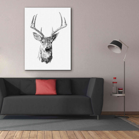 Image of 'Young Buck Sketch III' by Emma Scarvey, Giclee Canvas Wall Art,40 x 54