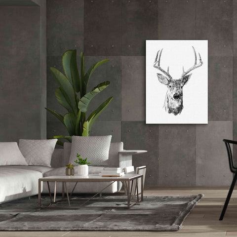 Image of 'Young Buck Sketch III' by Emma Scarvey, Giclee Canvas Wall Art,40 x 54