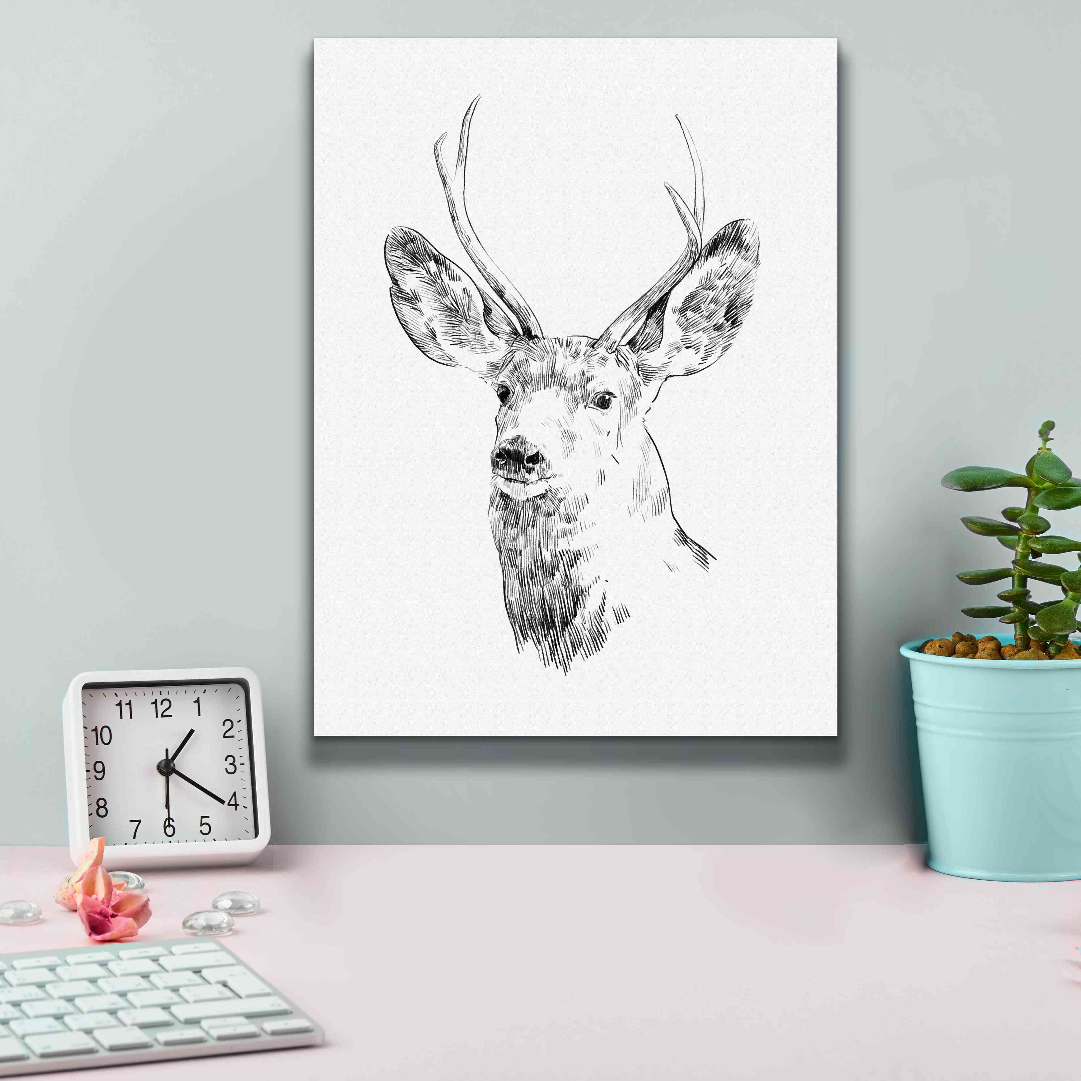 'Young Buck Sketch IV' by Emma Scarvey, Giclee Canvas Wall Art,12 x 16