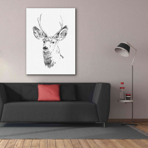 Image of 'Young Buck Sketch IV' by Emma Scarvey, Giclee Canvas Wall Art,40 x 54
