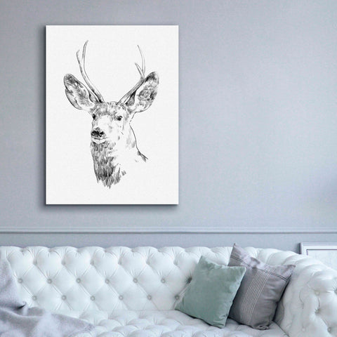 Image of 'Young Buck Sketch IV' by Emma Scarvey, Giclee Canvas Wall Art,40 x 54